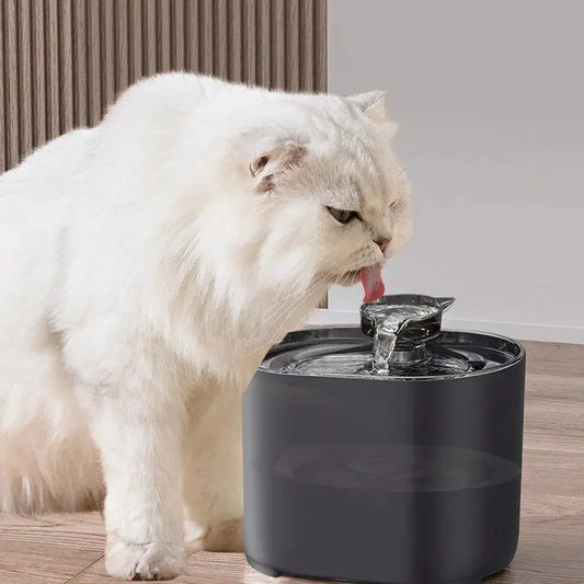 Cat drinking from a top-fill automatic water fountain. The fountain simulates natural flowing water to encourage cats to drink more.